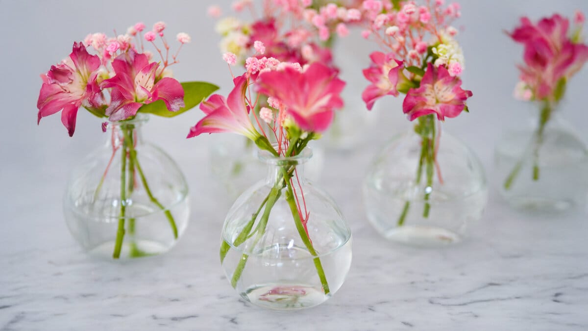 Små vaser med rose blomster 