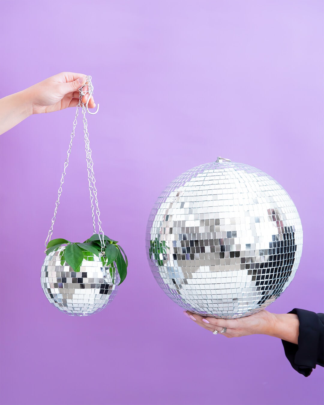 Dekorasjon DISCOKULA